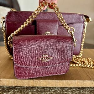 Coach Poppy Leather Two-Piece Crossbody Set with Gold Chain